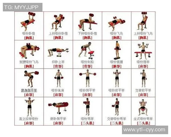 哑铃运动助力减肥的科学方法与有效训练计划分享